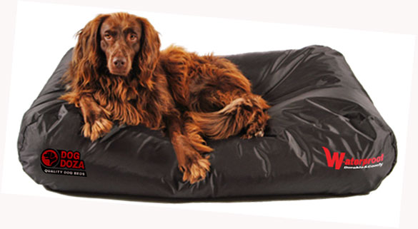 Dog Doza Active Waterproof Dog Bed Black